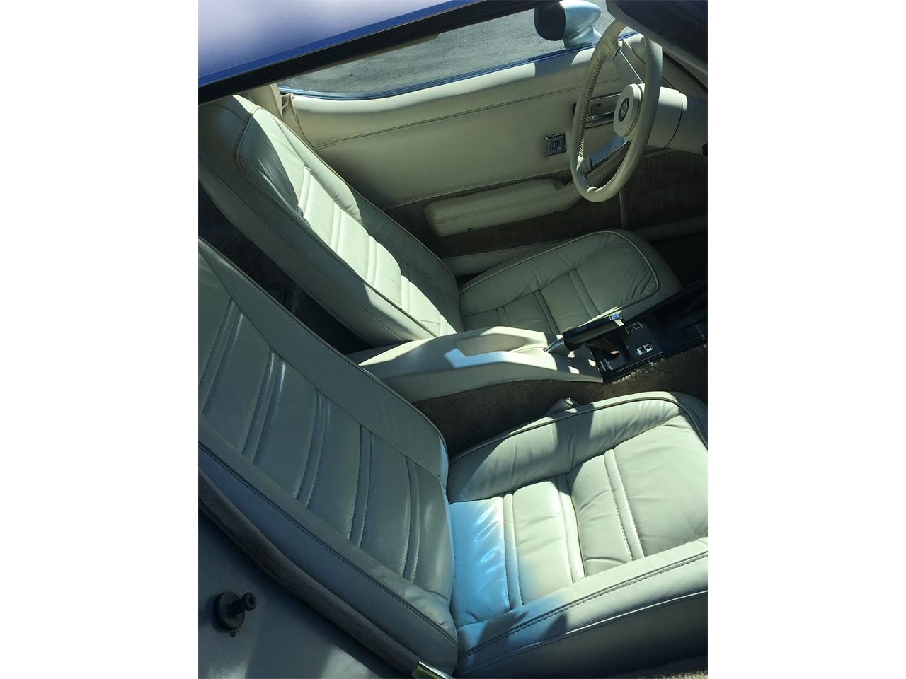 Chevrolet-Corvette-1978-Silver-Anniversary-Oyster-5