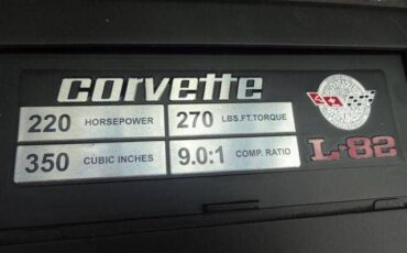 Chevrolet-Corvette-1978-Silver-Burgundy-16