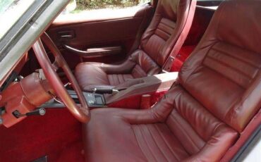 Chevrolet-Corvette-1978-Silver-Burgundy-20