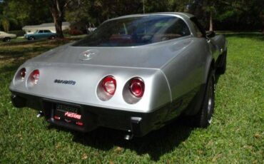 Chevrolet-Corvette-1978-Silver-Burgundy-23