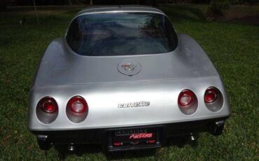 Chevrolet-Corvette-1978-Silver-Burgundy-24