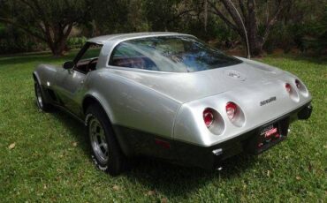 Chevrolet-Corvette-1978-Silver-Burgundy-25