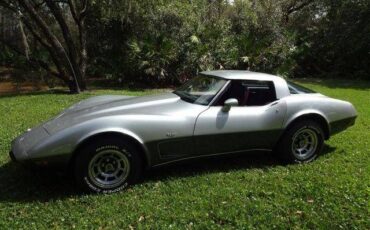 Chevrolet-Corvette-1978-Silver-Burgundy-26