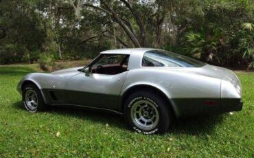 Chevrolet-Corvette-1978-Silver-Burgundy-27