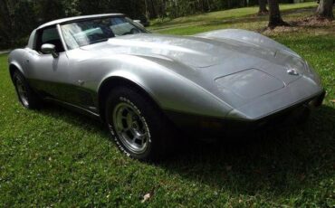 Chevrolet-Corvette-1978-Silver-Burgundy-28