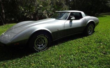 Chevrolet-Corvette-1978-Silver-Burgundy-29