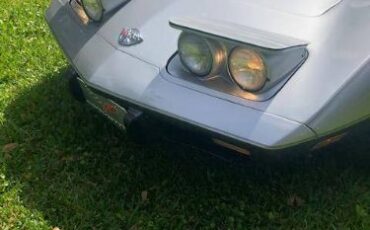 Chevrolet-Corvette-1978-Silver-Burgundy