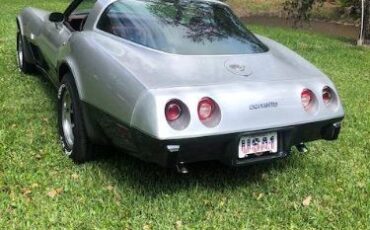 Chevrolet-Corvette-1978-Silver-Burgundy-7