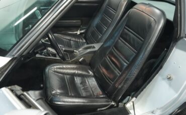Chevrolet-Corvette-1978-Silver-Metallic-Black-10