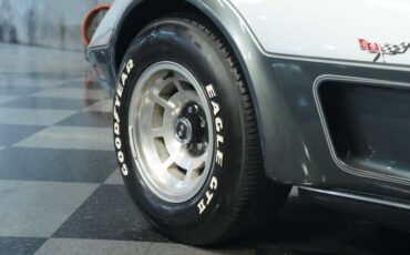 Chevrolet-Corvette-1978-Silver-Metallic-Black-14