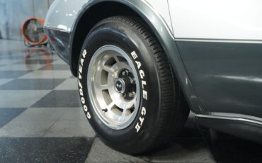 Chevrolet-Corvette-1978-Silver-Metallic-Black-16