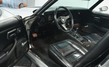 Chevrolet-Corvette-1978-Silver-Metallic-Black-19