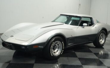 Chevrolet-Corvette-1978-Silver-Metallic-Black-20