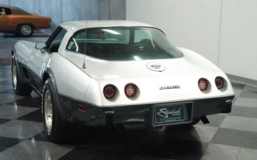 Chevrolet-Corvette-1978-Silver-Metallic-Black-23