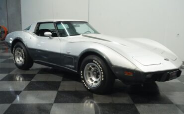 Chevrolet-Corvette-1978-Silver-Metallic-Black-26