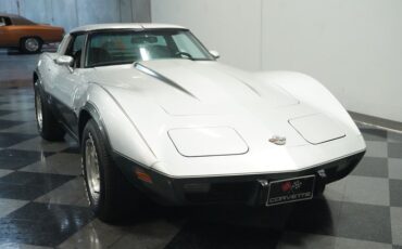 Chevrolet-Corvette-1978-Silver-Metallic-Black-27