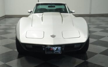 Chevrolet-Corvette-1978-Silver-Metallic-Black-29