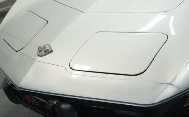 Chevrolet-Corvette-1978-Silver-Metallic-Black-31
