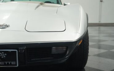 Chevrolet-Corvette-1978-Silver-Metallic-Black-32