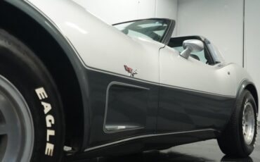 Chevrolet-Corvette-1978-Silver-Metallic-Black-34