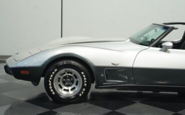 Chevrolet-Corvette-1978-Silver-Metallic-Black-35