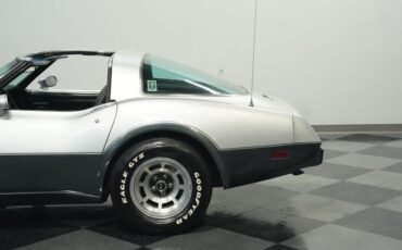 Chevrolet-Corvette-1978-Silver-Metallic-Black-36