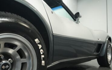 Chevrolet-Corvette-1978-Silver-Metallic-Black-39