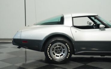 Chevrolet-Corvette-1978-Silver-Metallic-Black-40