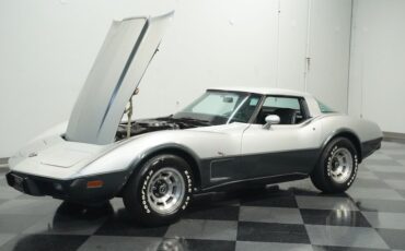 Chevrolet-Corvette-1978-Silver-Metallic-Black-41