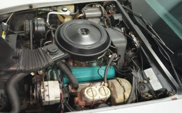 Chevrolet-Corvette-1978-Silver-Metallic-Black-42