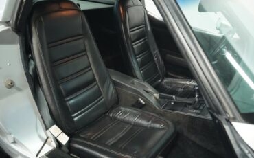 Chevrolet-Corvette-1978-Silver-Metallic-Black-44