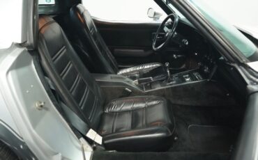 Chevrolet-Corvette-1978-Silver-Metallic-Black-45