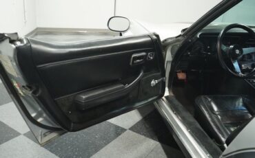 Chevrolet-Corvette-1978-Silver-Metallic-Black-47