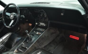 Chevrolet-Corvette-1978-Silver-Metallic-Black-48