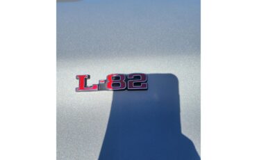 Chevrolet-Corvette-1978-Silver-Oyster-3