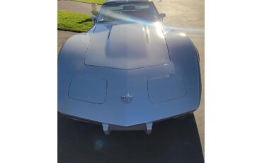 Chevrolet-Corvette-1978-Silver-Oyster-4