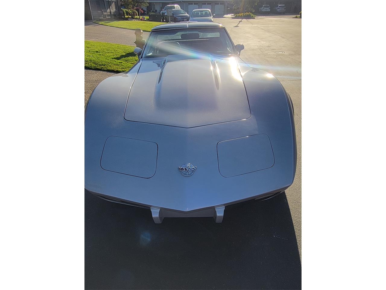 Chevrolet-Corvette-1978-Silver-Oyster-4