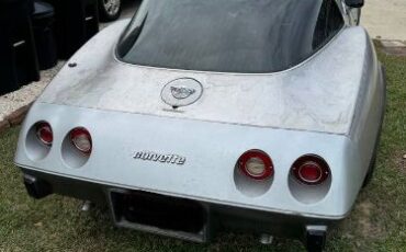 Chevrolet-Corvette-1978-Silver-Red-1