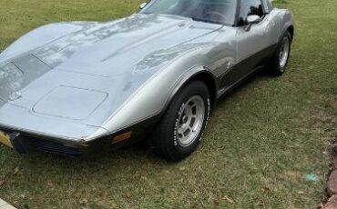 Chevrolet-Corvette-1978-Silver-Red-2