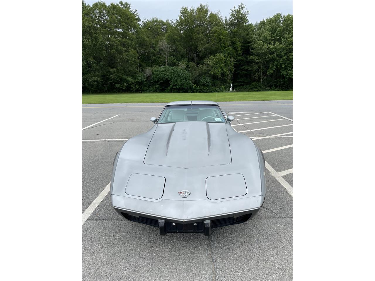 Chevrolet-Corvette-1978-Silver-White-1