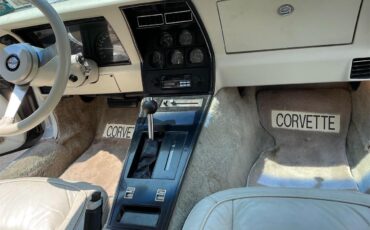 Chevrolet-Corvette-1978-Silver-White-13