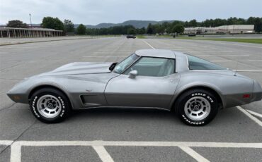 Chevrolet-Corvette-1978-Silver-White-3
