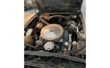 Chevrolet-Corvette-1978-Silver-White-8