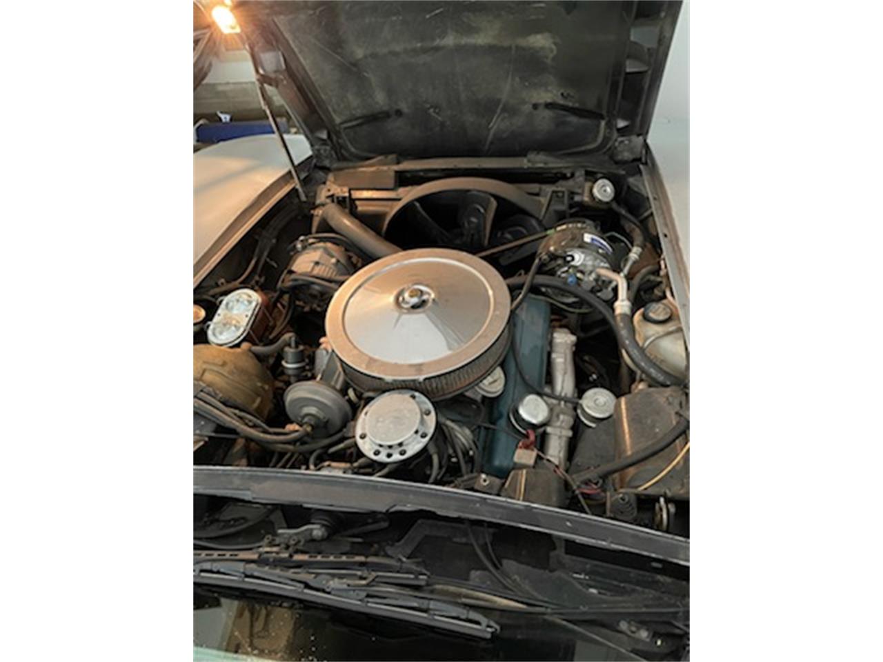 Chevrolet-Corvette-1978-Silver-White-8