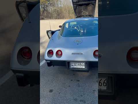 Chevrolet-Corvette-1978-SilverGray-Dark-Blue-1