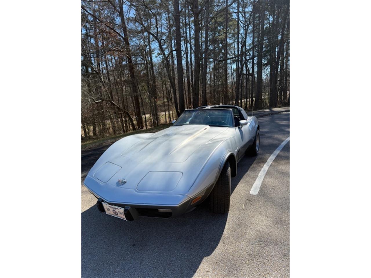 Chevrolet-Corvette-1978-SilverGray-Dark-Blue-2