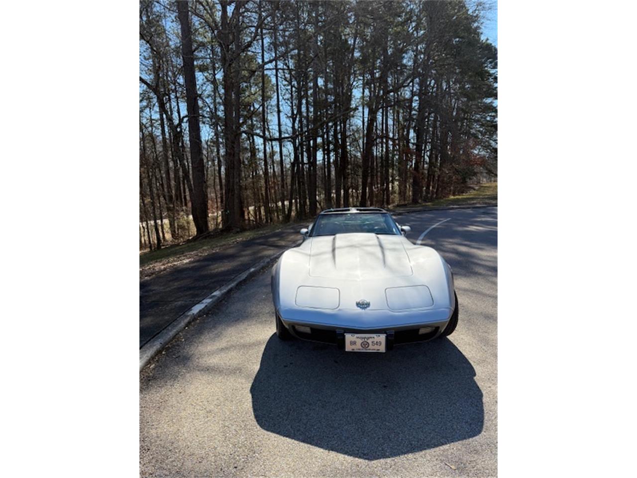 Chevrolet-Corvette-1978-SilverGray-Dark-Blue-3