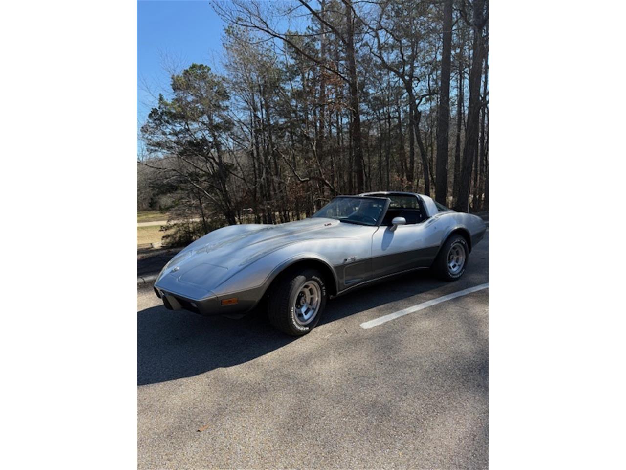Chevrolet-Corvette-1978-SilverGray-Dark-Blue