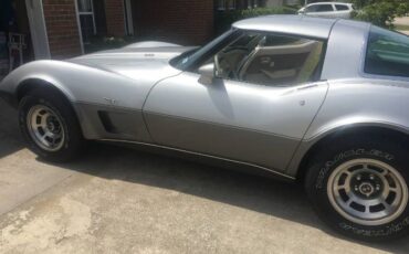 Chevrolet-Corvette-1978-Two-Tone-Metallic-Si-7