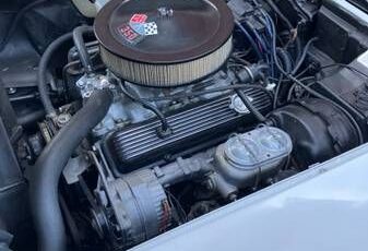 Chevrolet-Corvette-1978-White-2